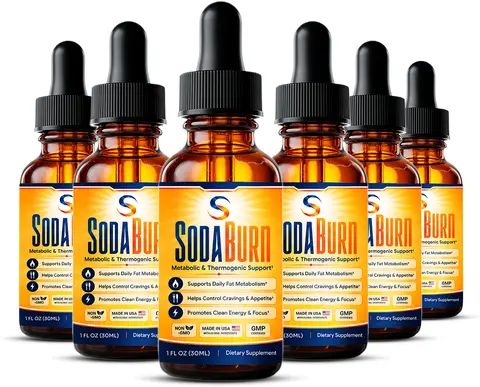 6 bottles of SodaBurn — best value package